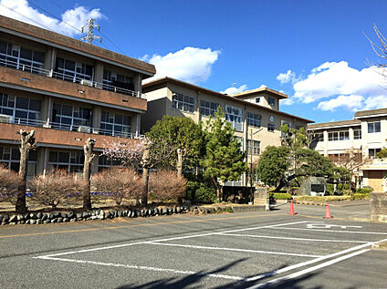 新高尾小学校 1250m