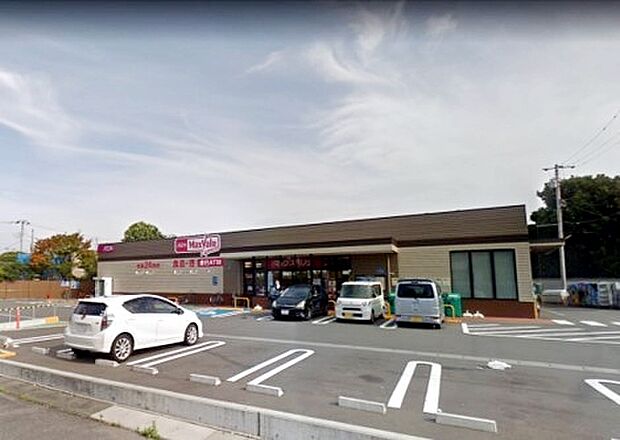マックスバリュエクスプレス沼津西沢田店（約810m）