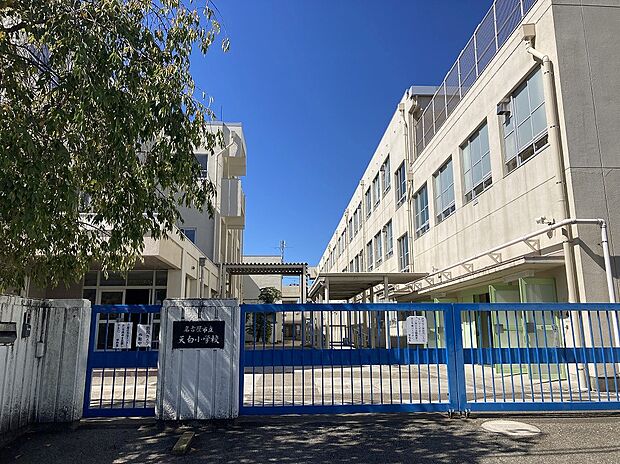 天白小学校(約1,460m)