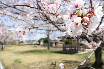 すずみまつ公園 900ｍ(徒歩2分)