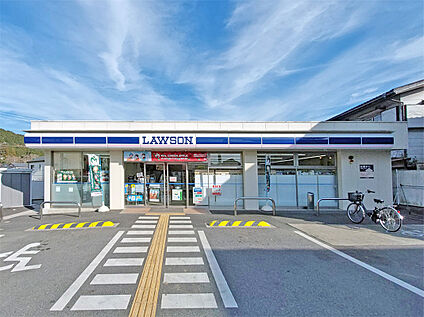 ローソン大石東店 約800ｍ(徒歩10分)