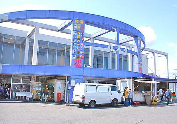 スーパーハズイ 水口店（約200m）