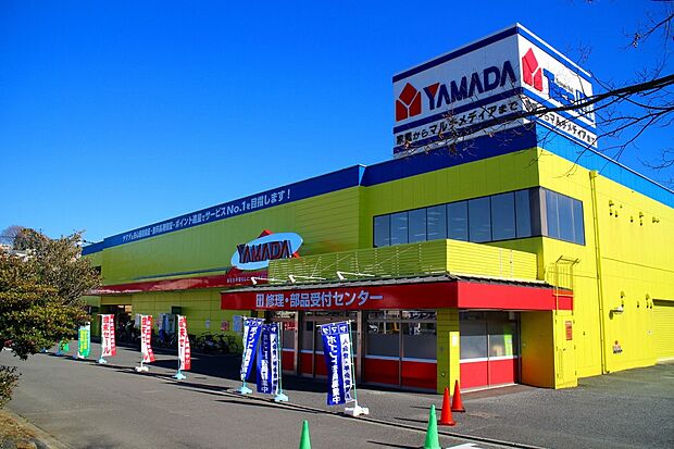 ヤマダデンキテックランド 向ヶ丘店(約700m)