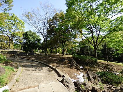王禅寺ふるさと公園 1200m(15分)