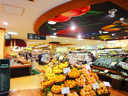 Odakyu OX読売ランド店 700m(9分)