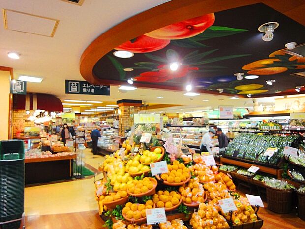 Odakyu OX読売ランド店（約700m・徒歩9分）
