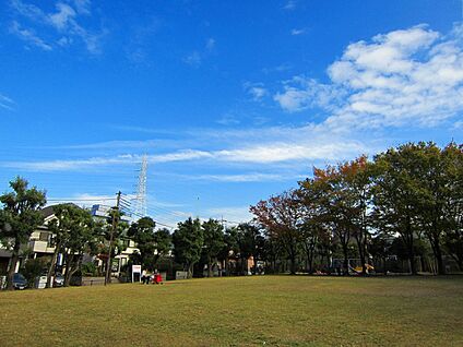 王禅寺公園 300m