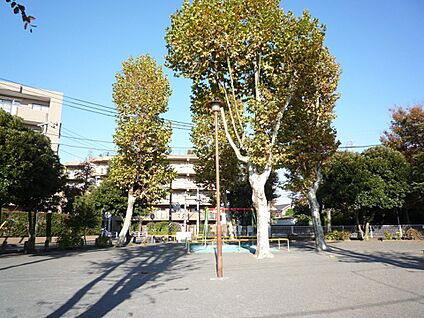 野川第二公園 190m