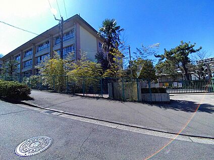 西野川小学校 700m