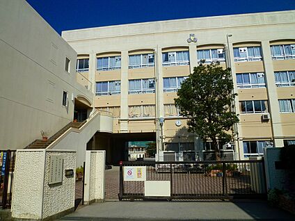 西高津中学校 900m