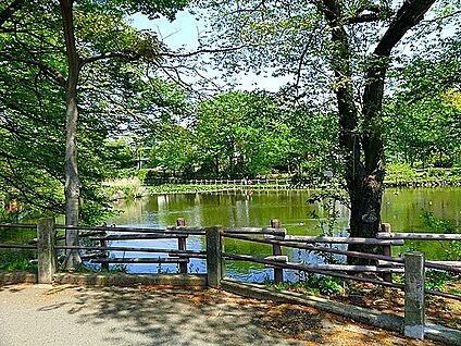 菊名池公園 250m