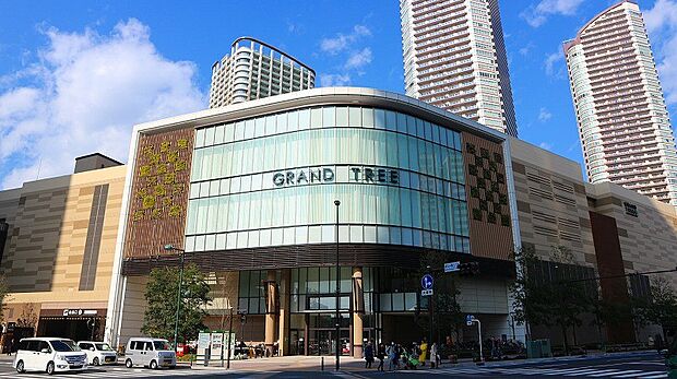 グランツリー武蔵小杉（約1,300m・徒歩17分）