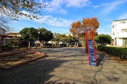 梶ヶ谷金山公園 100m(2分)