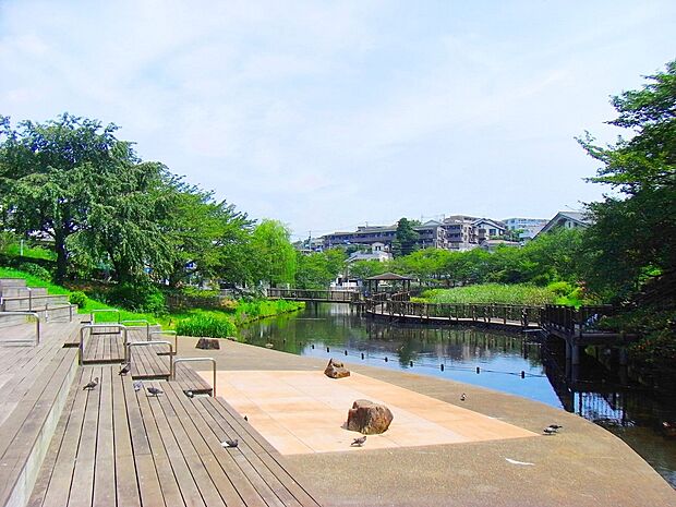 岸根公園 (約1,500m)