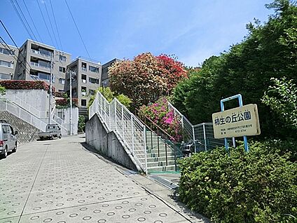 柿生の丘公園 450m(6分)