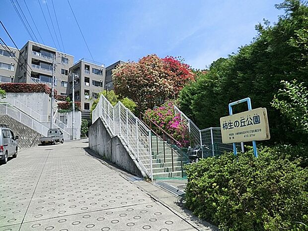 柿生の丘公園(約450m・徒歩6分)