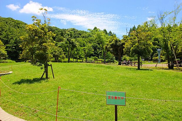 生田緑地（約850m・徒歩11分）