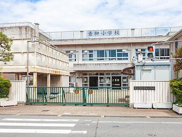 草加市立青柳小学校（約290m）