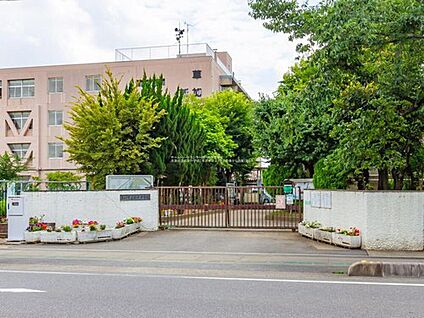 草加市立新栄中学校 1300ｍ(徒歩17分)