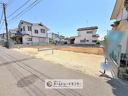 現地写真