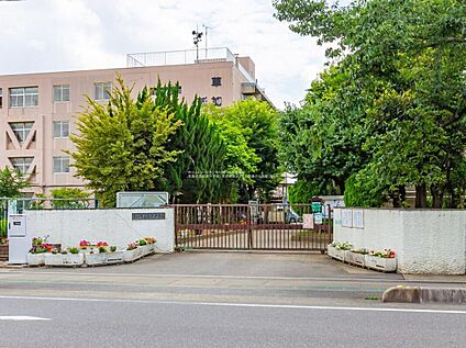 草加市立新栄中学校 1300ｍ(徒歩17分)