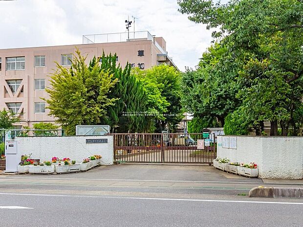 草加市立新栄中学校(約1,300m)