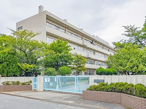 春日部市立藤塚小学校(約800m)