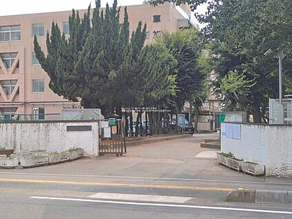 草加市立新栄中学校 800ｍ(徒歩10分)