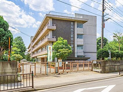 草加市立新栄小学校 600m 　(徒歩8分)