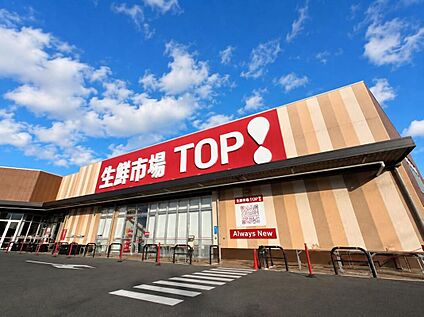 マミーマート生鮮市場TOP八潮伊草店 300ｍ(徒歩4分)