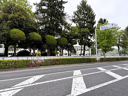 富岡市立富岡小学校 400ｍ(徒歩5分)