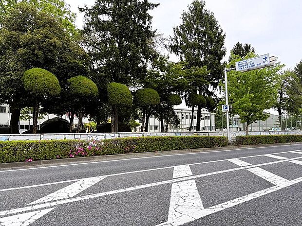 富岡市立富岡小学校(約400m)