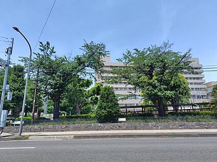 前橋市立鎌倉中学校 1800m(徒歩23分)