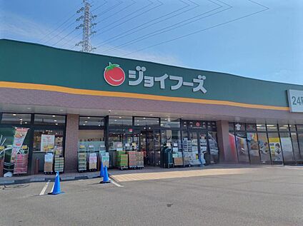 ジョイフーズ高崎上佐野店 824ｍ(徒歩11分)