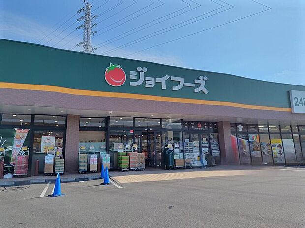 ジョイフーズ高崎上佐野店(約824m)