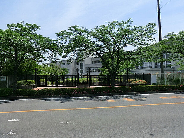 桜山小学校　
