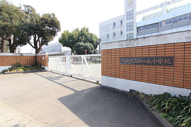 桜ヶ丘小学校（約678m）