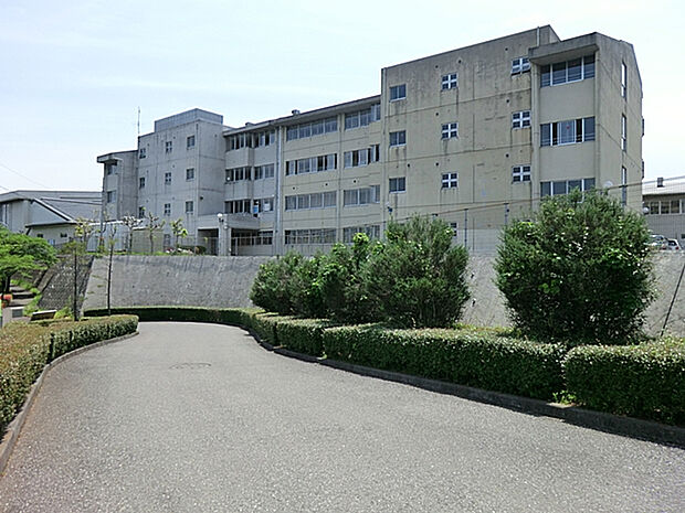 白山中学校（約700m）