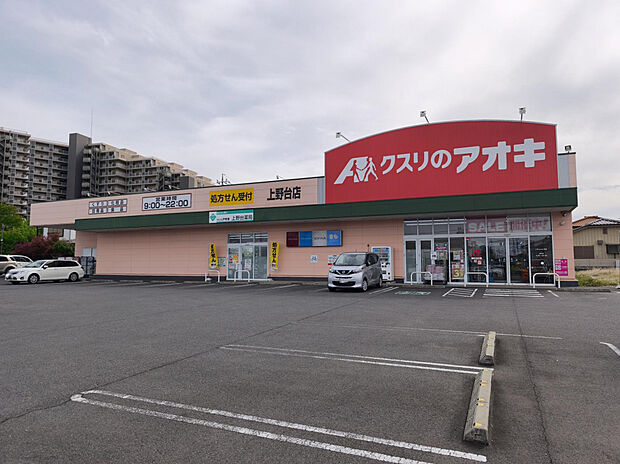 クスリのアオキ上野台店(約500m)
