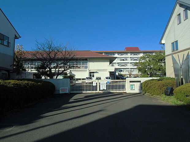 焼津中学校（約1,500m）