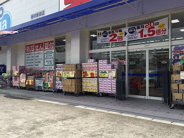 ウエルシア藤枝藪田店（約650m）