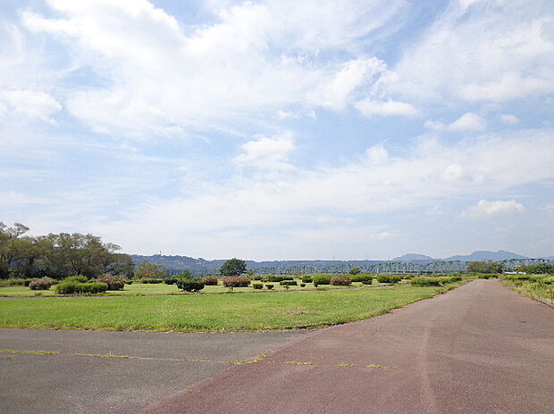 大井川緑地公園（約600m）