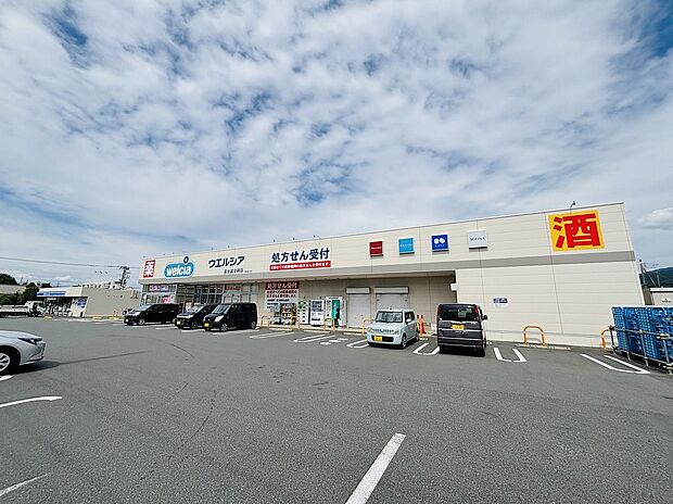 ウエルシア富士岡店（約1,012m）