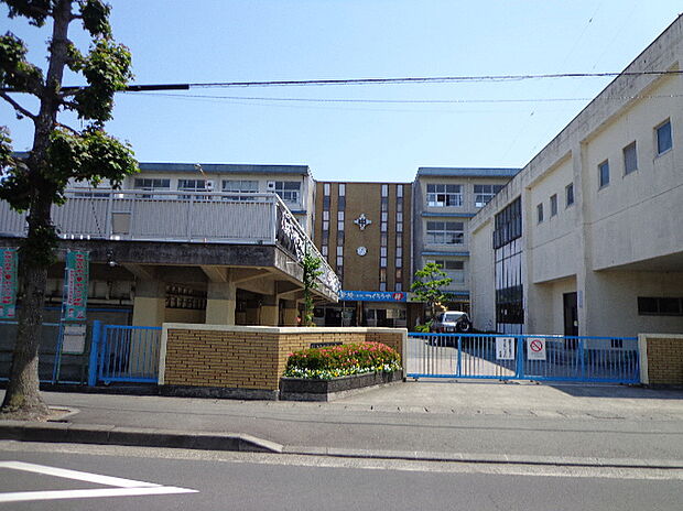 静岡市立南中学校(約1,100m)