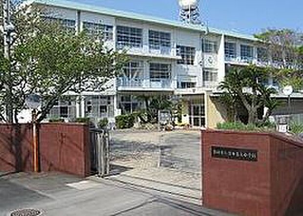 清水第五中学校(約800m)