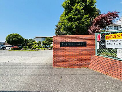 大富士小学校 800ｍ(徒歩10分)