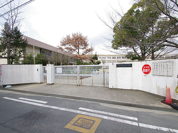 縄手小学校(約400m)