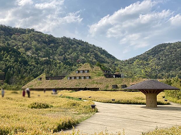 ラコリーナ近江八幡