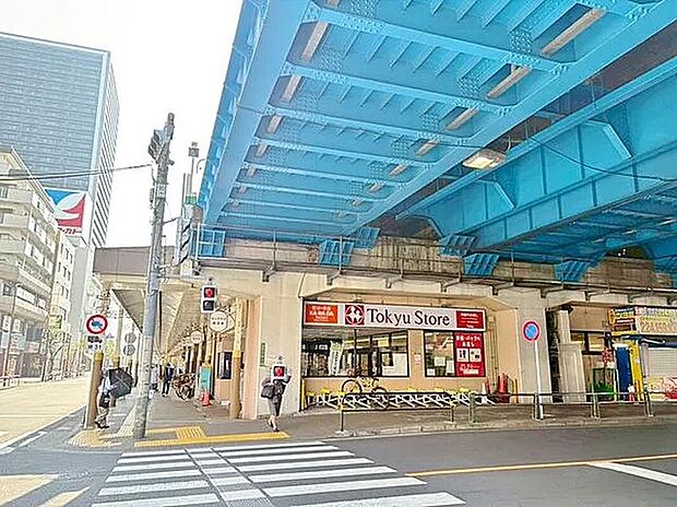 東急ストア綾瀬店 （約630m）
