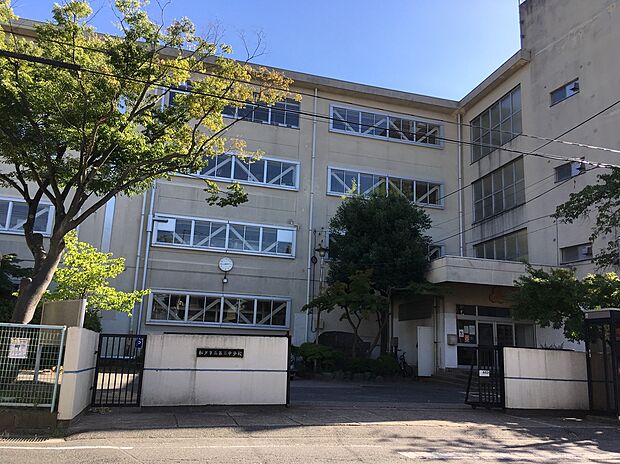松戸市立第三中学校（約2,200m）